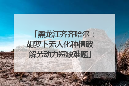 黑龙江齐齐哈尔：胡萝卜无人化种植破解劳动力短缺难题