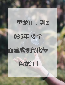 黑龙江：到2035年 要全面建成现代化绿色龙江