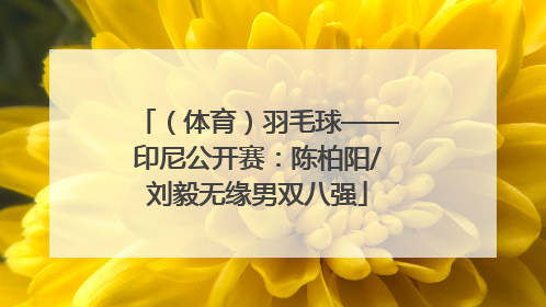 （体育）羽毛球——印尼公开赛：陈柏阳/刘毅无缘男双八强