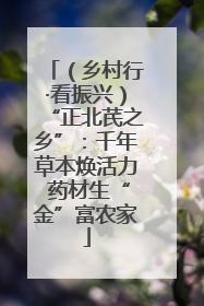 （乡村行·看振兴）“正北芪之乡”：千年草本焕活力 药材生“金”富农家