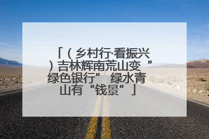 （乡村行·看振兴）吉林辉南荒山变“绿色银行” 绿水青山有“钱景”