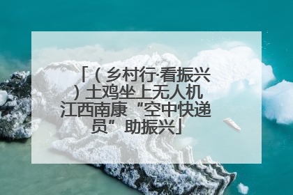 （乡村行·看振兴）土鸡坐上无人机 江西南康“空中快递员”助振兴