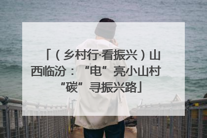 （乡村行·看振兴）山西临汾：“电”亮小山村 “碳”寻振兴路