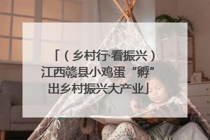 （乡村行·看振兴）江西赣县小鸡蛋“孵”出乡村振兴大产业