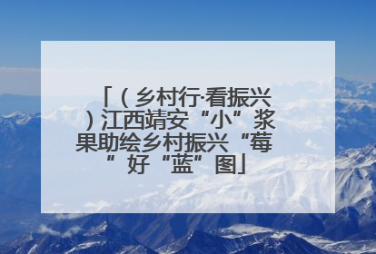 （乡村行·看振兴）江西靖安“小”浆果助绘乡村振兴“莓”好“蓝”图