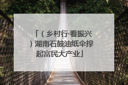 （乡村行·看振兴）湖南石鼓油纸伞撑起富民大产业