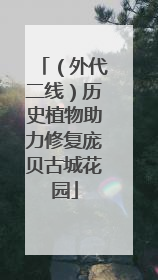 （外代二线）历史植物助力修复庞贝古城花园