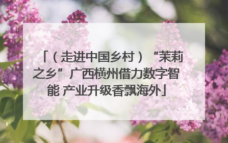 （走进中国乡村）“茉莉之乡”广西横州借力数字智能 产业升级香飘海外