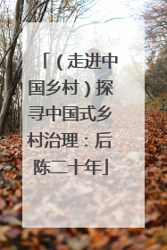 （走进中国乡村）探寻中国式乡村治理：后陈二十年