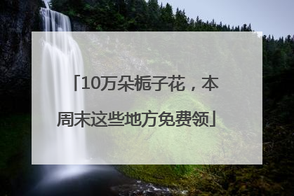 10万朵栀子花，本周末这些地方免费领