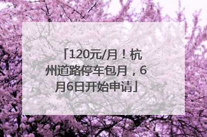 120元/月！杭州道路停车包月，6月6日开始申请