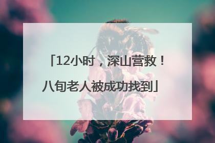 12小时，深山营救！八旬老人被成功找到