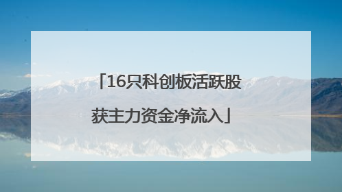 16只科创板活跃股获主力资金净流入