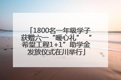 1800名一年级学子获赠六一“暖心礼” “希望工程1+1”助学金发放仪式在川举行