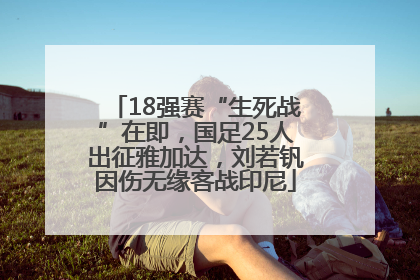 18强赛“生死战”在即，国足25人出征雅加达，刘若钒因伤无缘客战印尼