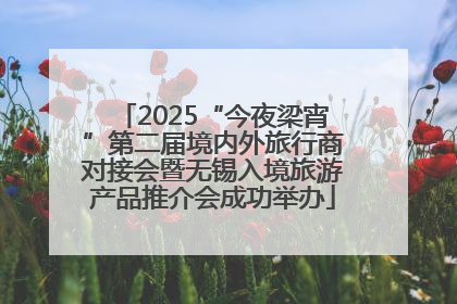 2025“今夜梁宵”第二届境内外旅行商对接会暨无锡入境旅游产品推介会成功举办