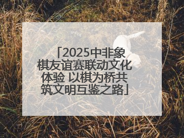 2025中非象棋友谊赛联动文化体验 以棋为桥共筑文明互鉴之路