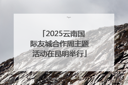 2025云南国际友城合作周主题活动在昆明举行