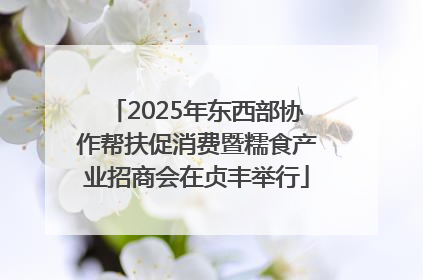 2025年东西部协作帮扶促消费暨糯食产业招商会在贞丰举行