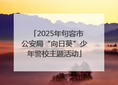 2025年句容市公安局“向日葵”少年警校主题活动