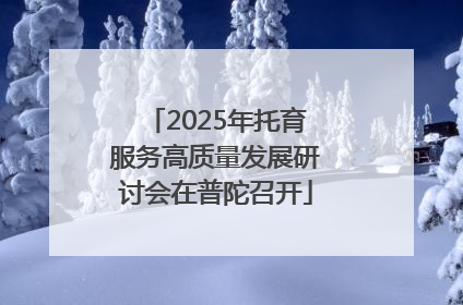 2025年托育服务高质量发展研讨会在普陀召开