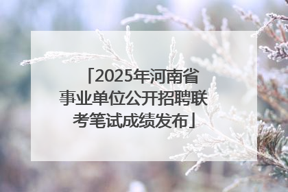 2025年河南省事业单位公开招聘联考笔试成绩发布