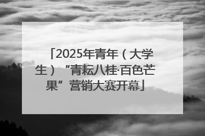 2025年青年（大学生）“青耘八桂·百色芒果”营销大赛开幕