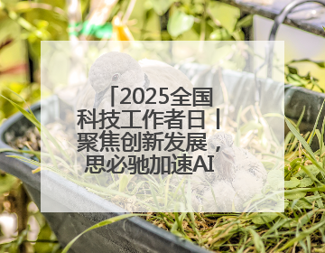 2025全国科技工作者日丨聚焦创新发展，思必驰加速AI产业化落地