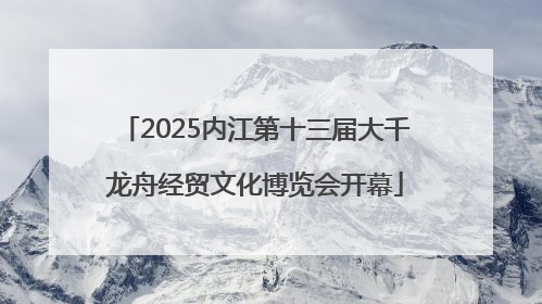 2025内江第十三届大千龙舟经贸文化博览会开幕
