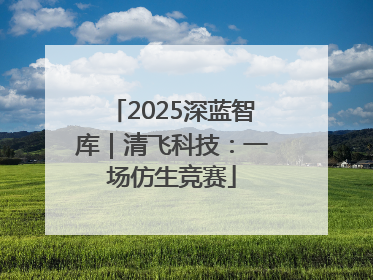 2025深蓝智库｜清飞科技：一场仿生竞赛