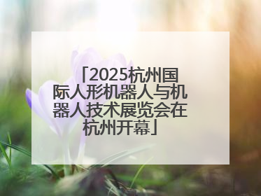 2025杭州国际人形机器人与机器人技术展览会在杭州开幕
