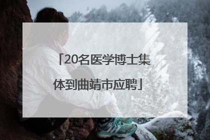 20名医学博士集体到曲靖市应聘