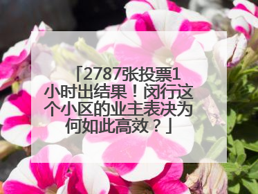 2787张投票1小时出结果！闵行这个小区的业主表决为何如此高效？