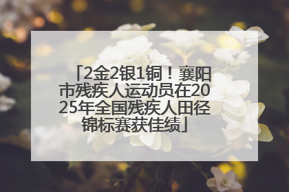 2金2银1铜！襄阳市残疾人运动员在2025年全国残疾人田径锦标赛获佳绩