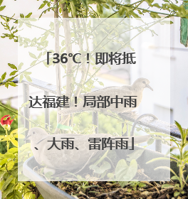 36℃！即将抵达福建！局部中雨、大雨、雷阵雨