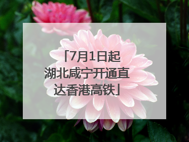 7月1日起 湖北咸宁开通直达香港高铁