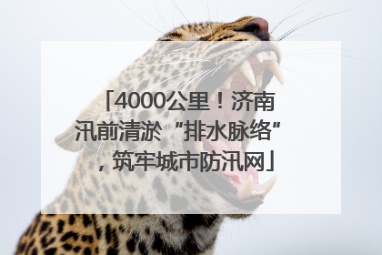4000公里！济南汛前清淤“排水脉络”，筑牢城市防汛网