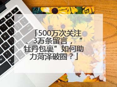 500万次关注、3万条留言，“牡丹包裹”如何助力菏泽破圈？