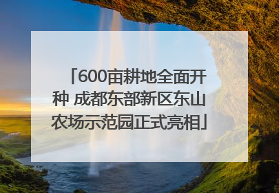 600亩耕地全面开种 成都东部新区东山农场示范园正式亮相