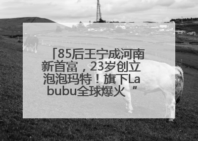 85后王宁成河南新首富，23岁创立泡泡玛特！旗下Labubu全球爆火“一娃难求”