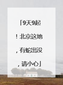9天9起！北京这地，有蛇出没，请小心