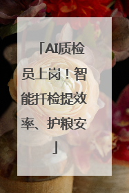 AI质检员上岗！智能扦检提效率、护粮安