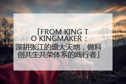FROM KING TO KINGMAKER：深耕张江的盛大天地，做科创共生共荣体系的践行者