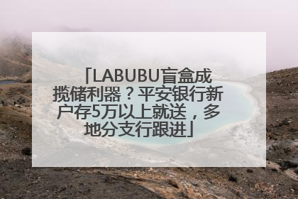 LABUBU盲盒成揽储利器？平安银行新户存5万以上就送，多地分支行跟进