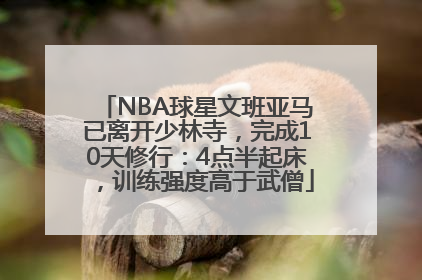 NBA球星文班亚马已离开少林寺，完成10天修行：4点半起床，训练强度高于武僧